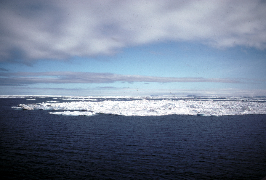 The Arctic Ocean: Blue or White?